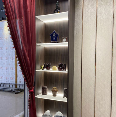 مصباح مجلس الوزراء الحالي الأسود 3500K أبيض دافئ الزجاج رف LED مع 80 CRI