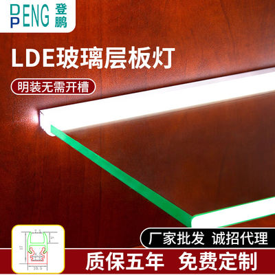 Modern Warm 3500K 900LM Sliver / Black Aluminum Single Glass Shelf Light للزجاج من 6 إلى 8 مم
