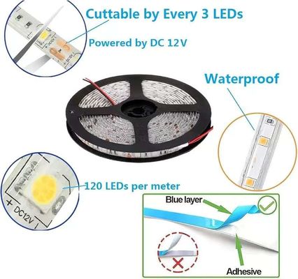مصابيح LED مرنة 600 وحدات مصابيح LED مضادة للماء 12 فولت مصابيح LED مضادة للماء حزمة من 16.4ft / 5m لعطلة منزل الحفلة داخل والخارج ديكور مضاد للماء أبيض 1 حزمة