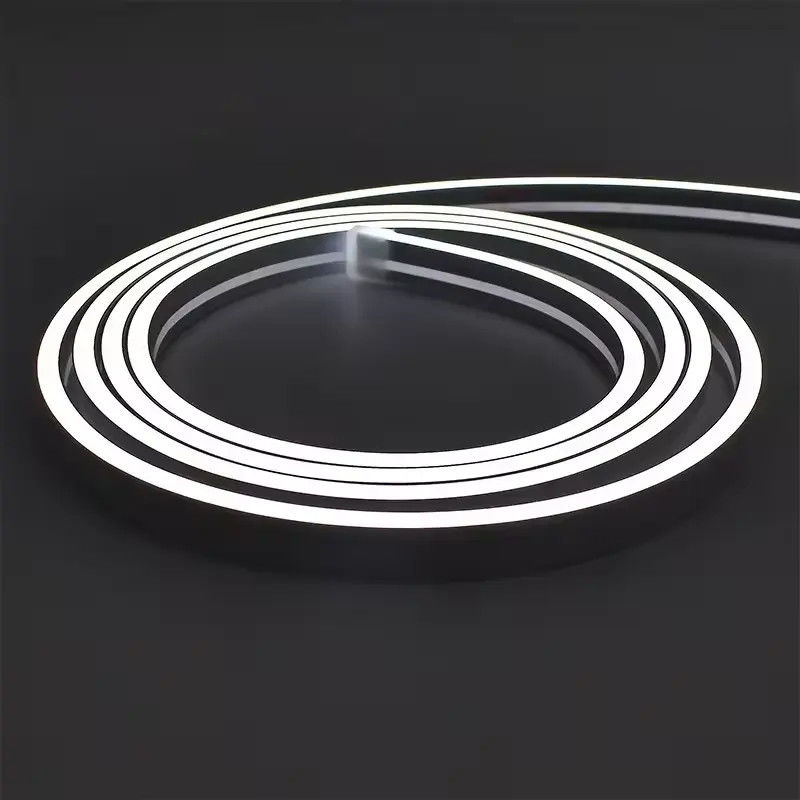 ضوء الشريط النيون 3*8 4*8 6*12 3mm 4mm 6mm 8mm 10mm 16mm 12V 24V الحبل النيوني النيوني المرن